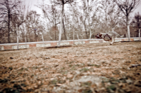 /album/fotografias-de-checa/a19-png/